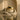 Brow Cement ~ Lamination in a jar