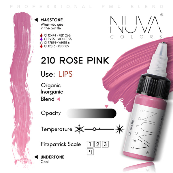 Rosa rosa 210