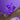 Mast cyber cartridge mastpmu mastpmuofficial pmumakepermanentemakeup masttattoo dragonhawk from Amavi